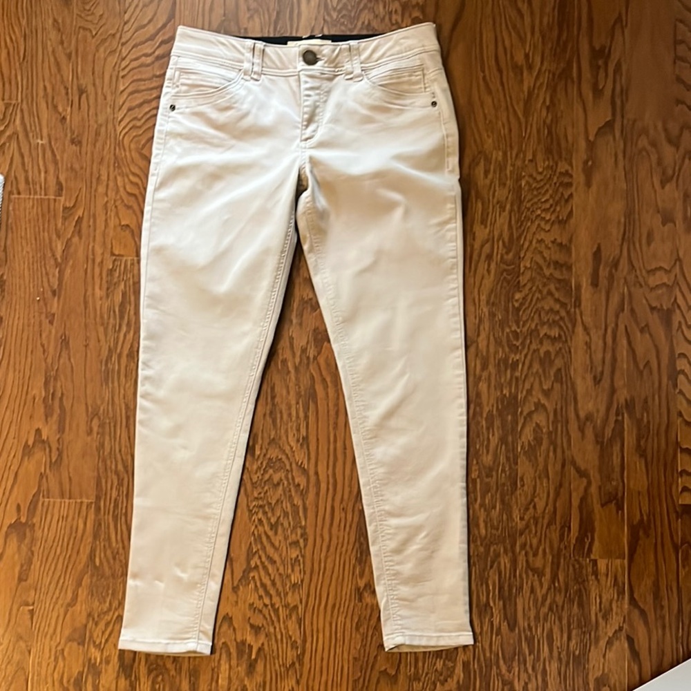 Democracy Absolution Straight Leg Khaki Pants - image 1